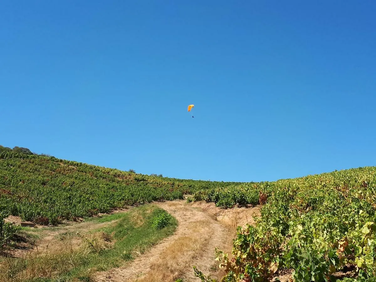 Le Mont Brouilly Hotel Quincié-en-Beaujolais Frankrijk